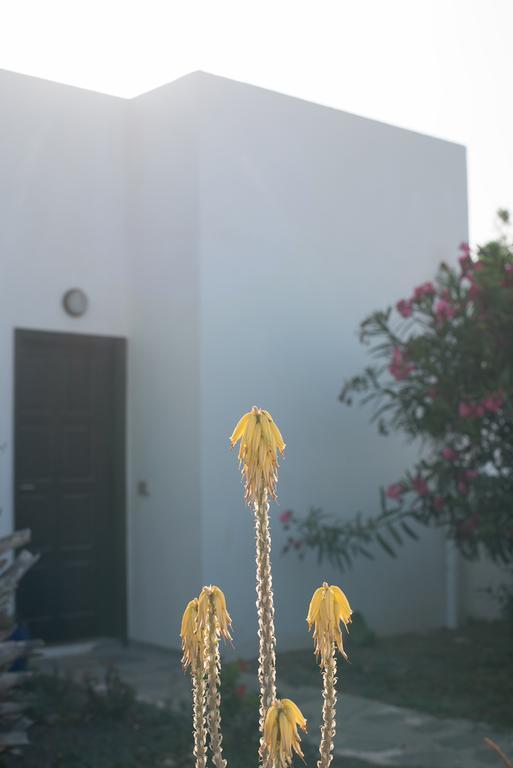 Drago Homes Corralejo Exteriör bild